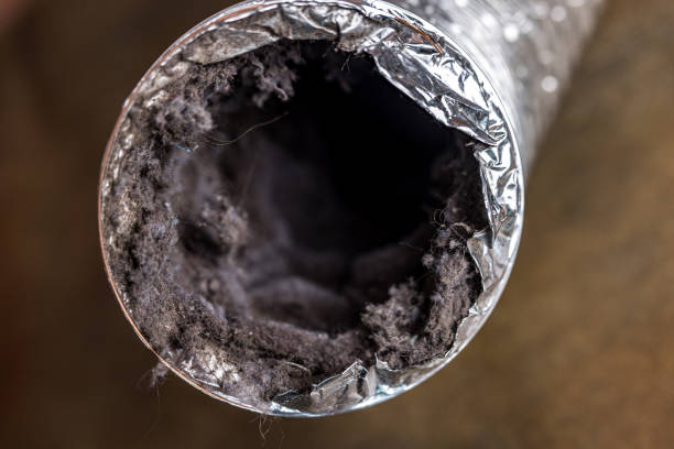Best Local Air Duct Cleaning Services  in Elkhart, KS